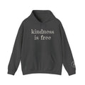 Kindness is Free Hoodies